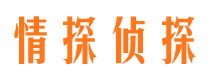 苍溪寻人公司